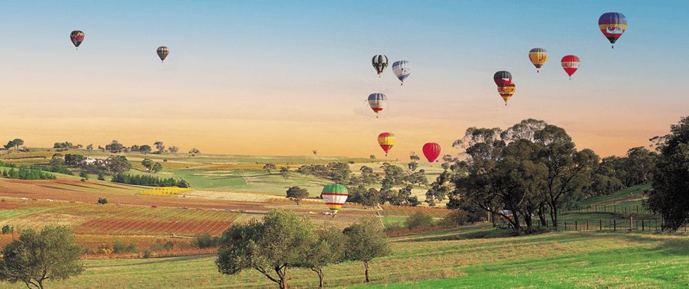 McLaren Vale Australia